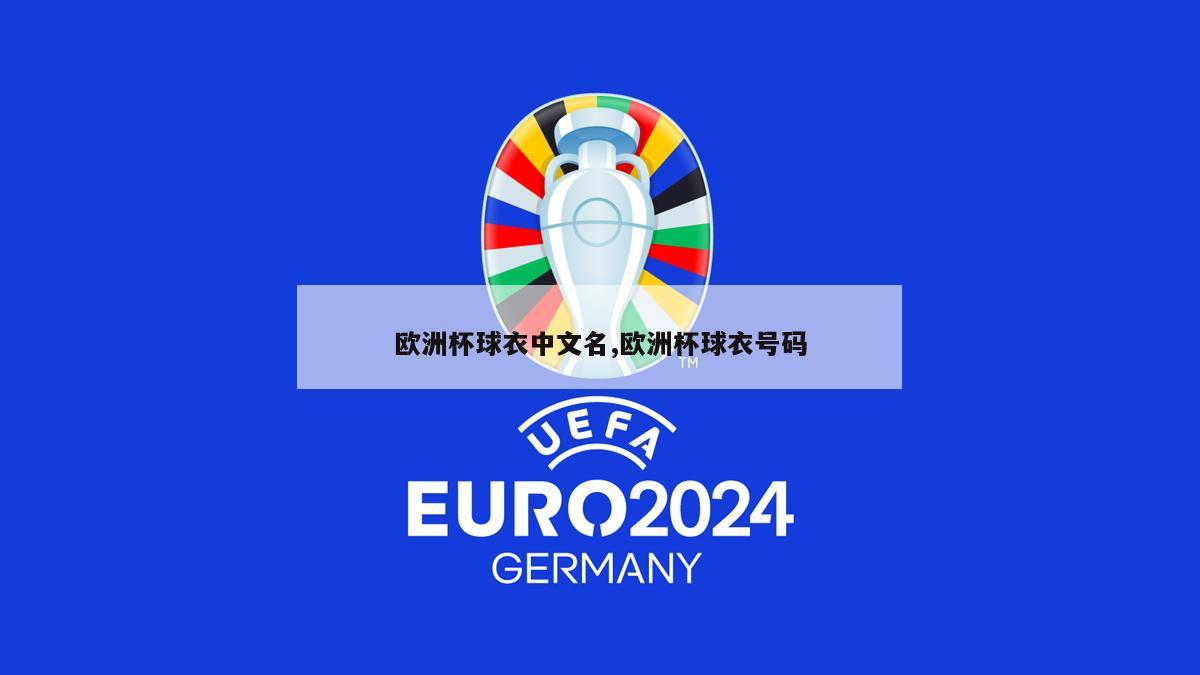 欧洲杯球衣中文名,欧洲杯球衣号码