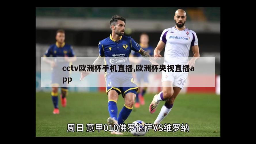 cctv欧洲杯手机直播,欧洲杯央视直播app