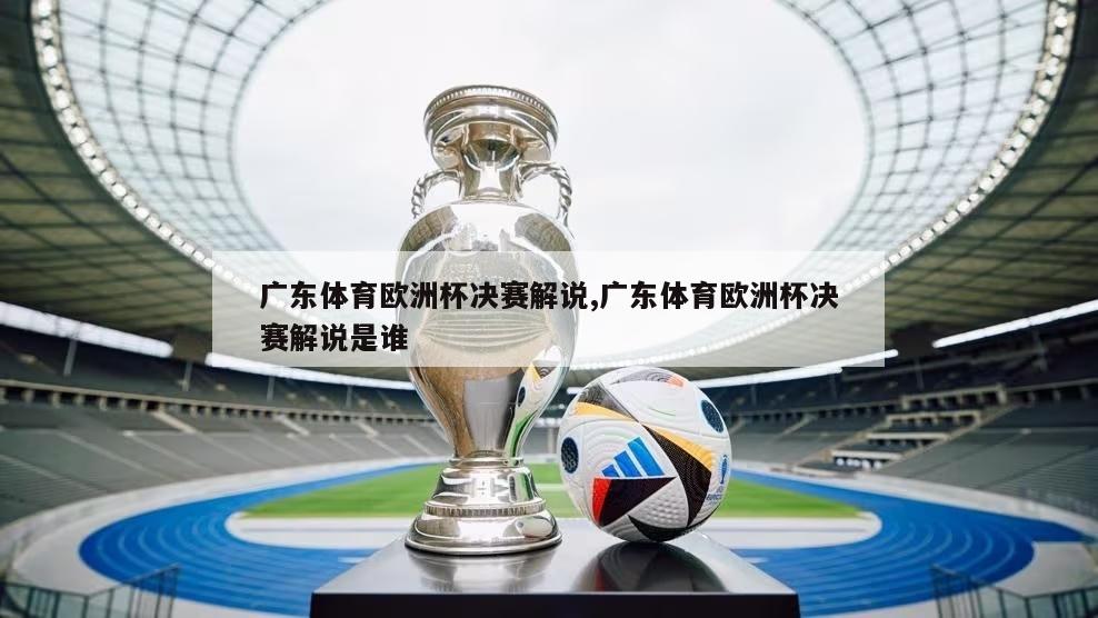 广东体育欧洲杯决赛解说,广东体育欧洲杯决赛解说是谁
